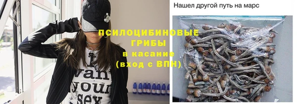 таблы Белокуриха