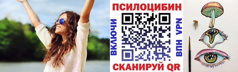 Псилоцибиновые грибы Psilocybine cubensis  дарнет шоп  Болхов 